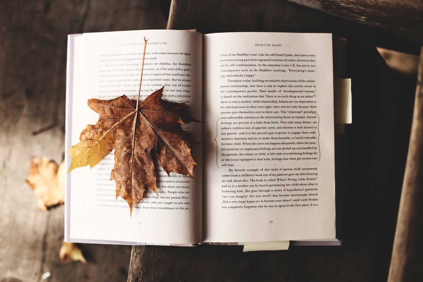 Book open with maple leaf on page