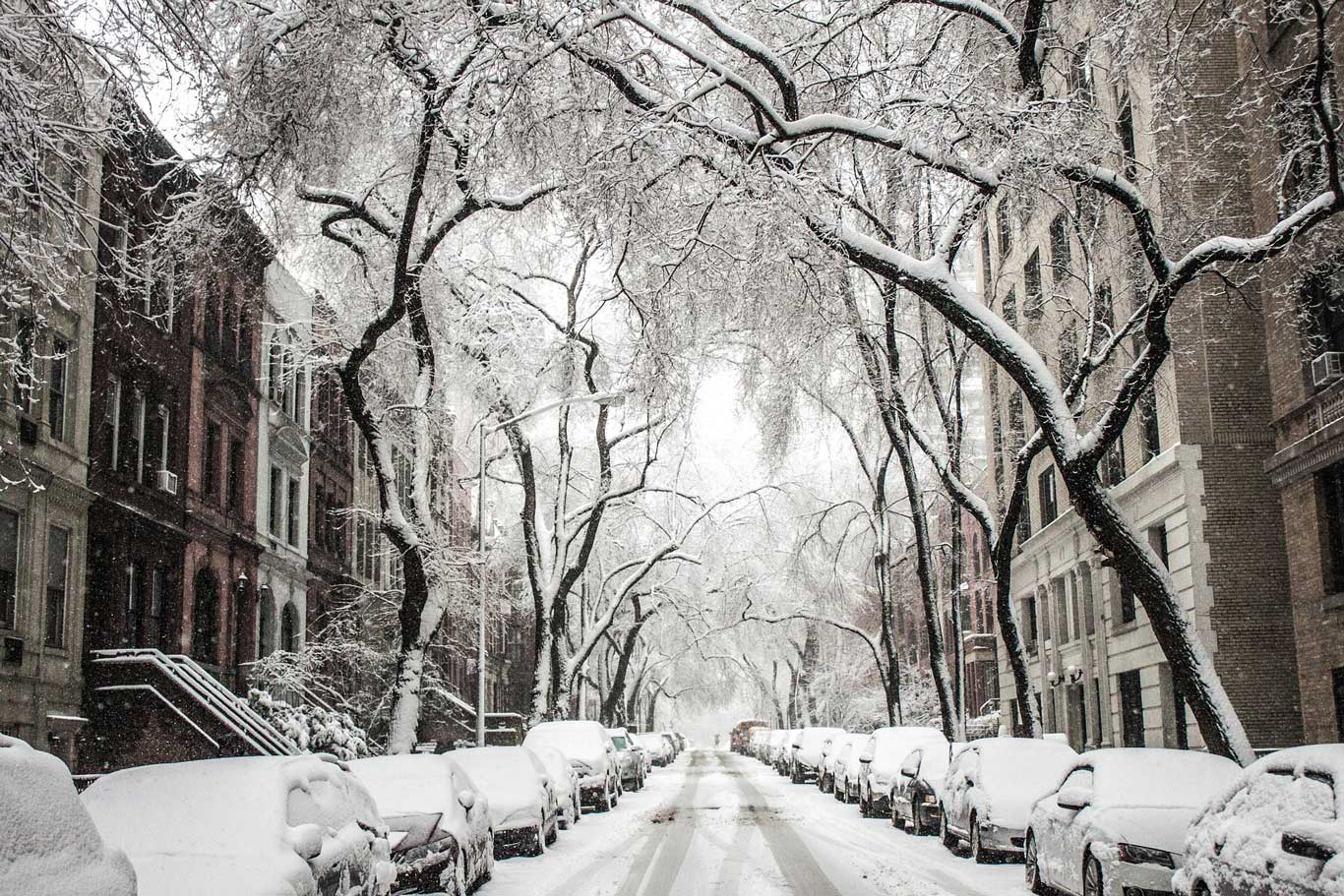 A snowy urban street with cars parked on both sides